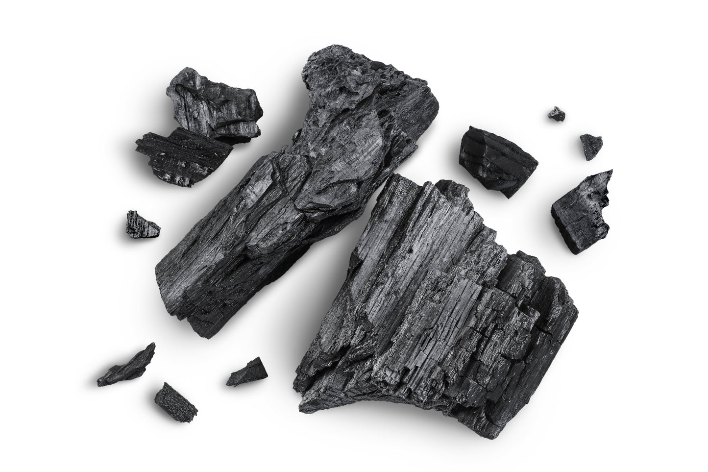 RIOTS ナチュラルアースバーソープ (ペット用石鹸) UNSCENTED + CHARCOAL 無香料・炭