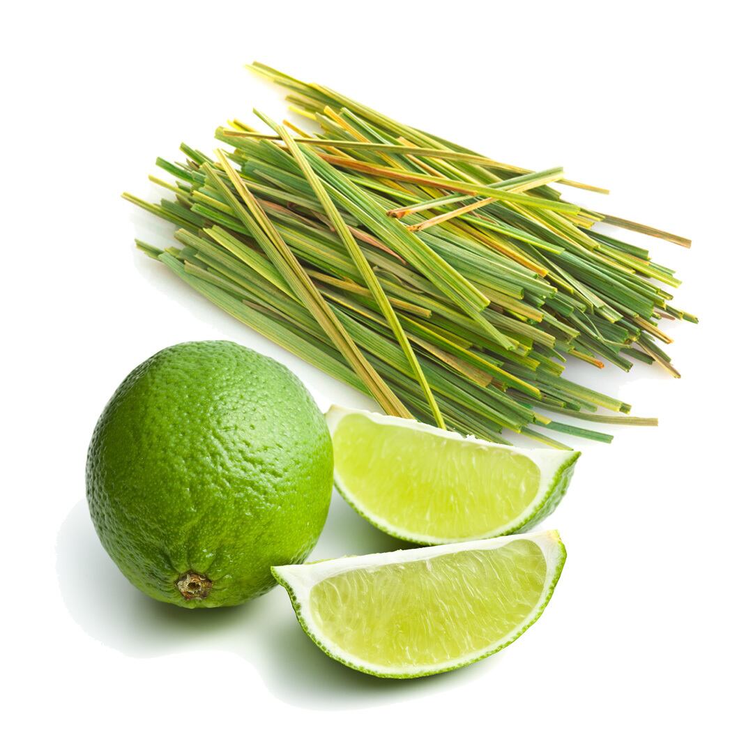 RIOTS ナチュラルアースバーソープ (ペット用石鹸) LIME & LEMON GRASS ライム&レモングラス